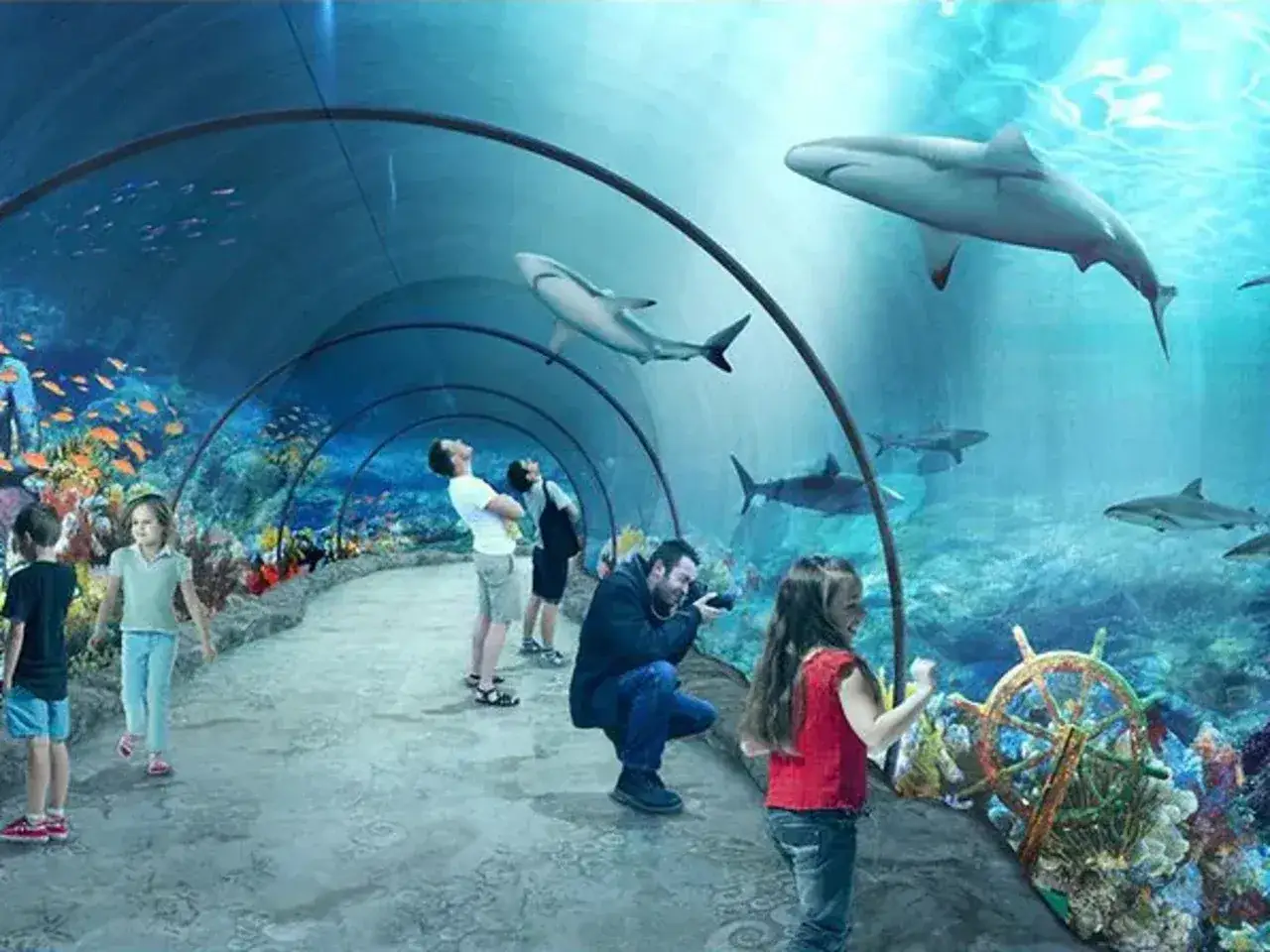 Ludzie spacerują tunelem w łódź oceanarium, podziwiając rekiny i kolorowe ryby.