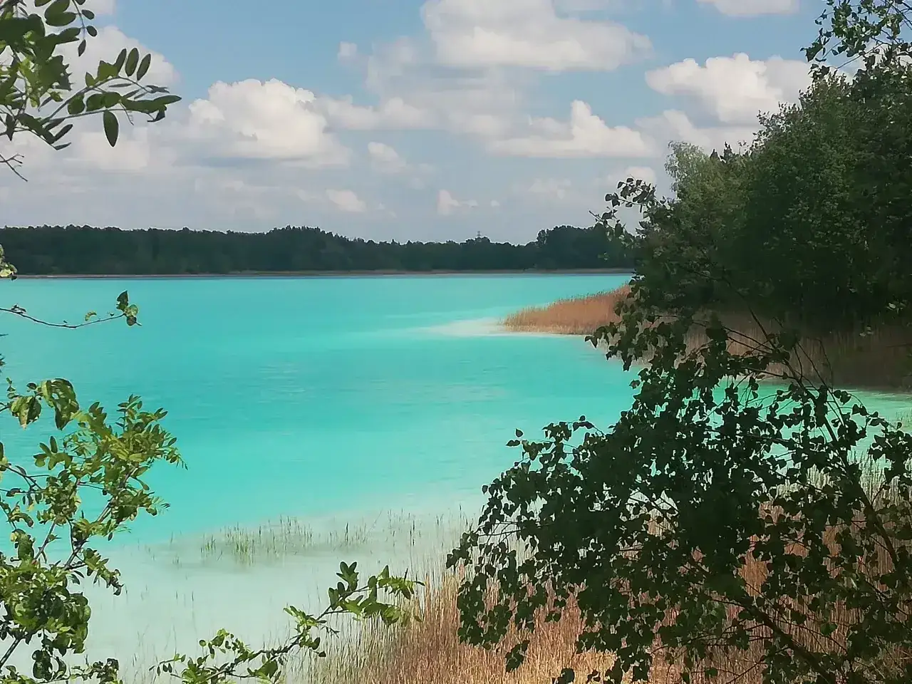 Turkusowe jezioro w Koninie, otoczone zielenią i trzcinami, z błękitnym niebem i chmurami.