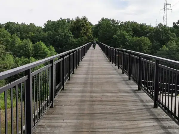 Rowerzysta na drewnianym moście wśród drzew. Idealne miejsce na odkrywanie tras rowerowych Bydgoszcz.