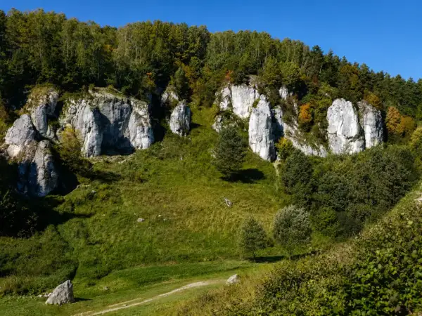 Skały wapienne w Dolinie Kobylańskiej, porośnięte zielenią i drzewami, na tle błękitnego nieba.