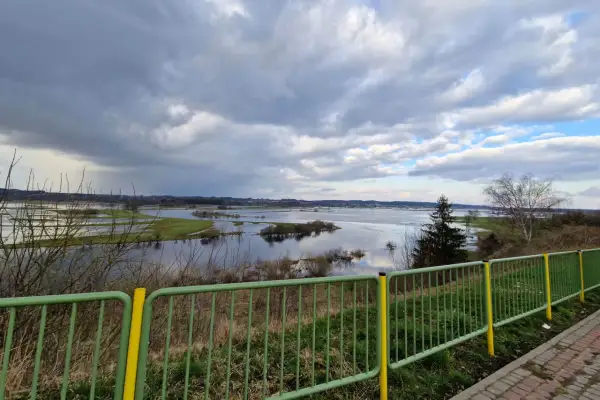 Rozlewiska Narwi koło Łomży, malownicze widoki i dzika przyroda to jedne z wielu atrakcji tego regionu.