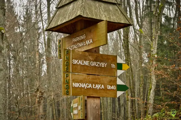 Drewniany drogowskaz w lesie wskazuje drogę do "Skalnych Grzybów" (1h) i "Niknącej Łąki" (0h40).