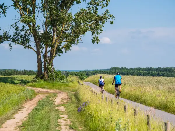 Dwie osoby na rowerach przemierzają malownicze trasy rowerowe zachodniopomorskie, wśród pól i zieleni.