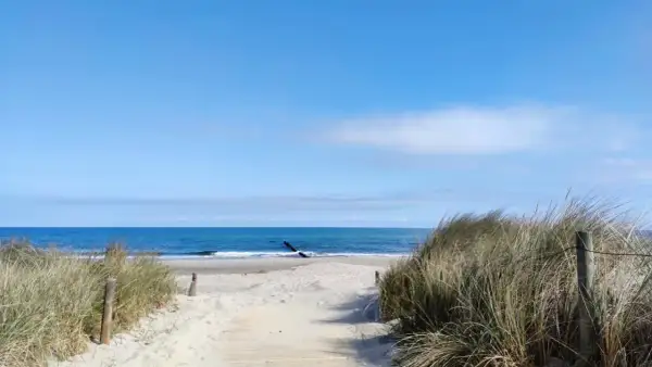 Ścieżka przez wydmy prowadzi do morza. Piękna plaża i błękitne niebo to idealne **sarbinowo atrakcje** na wakacje.