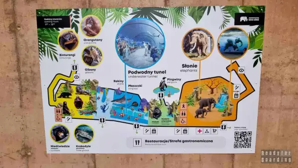 Mapa zoo z sekcjami: orangutany, słonie, podwodny tunel, gibony, krokodyle, niedźwiedzie. Widać też restauracje.